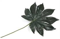 Coco Maison COCO MAISON accessoire Fatsia Leaf kunstbloem H55cm